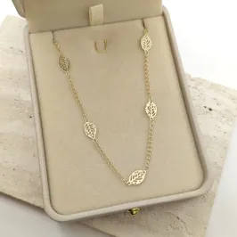 chocker folha