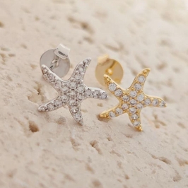 brinco estrela cravejada