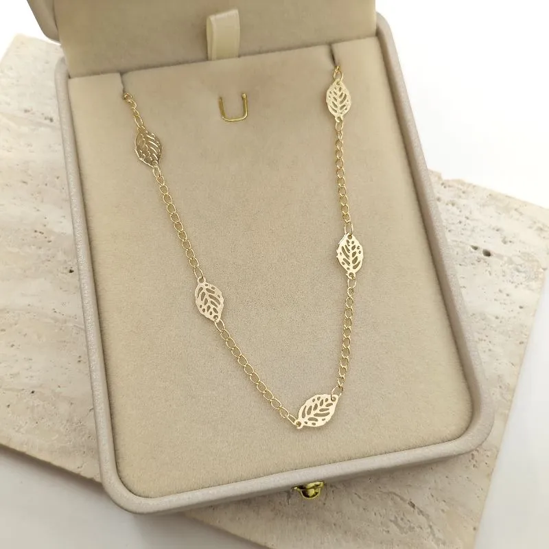 chocker folha